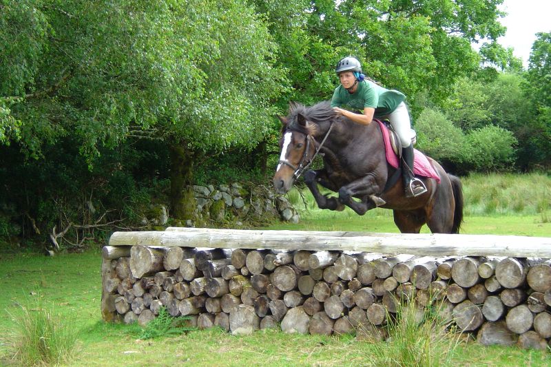 École d'équitation du comté de Galway
