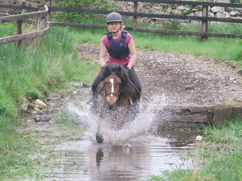 École d'équitation du comté de Galway