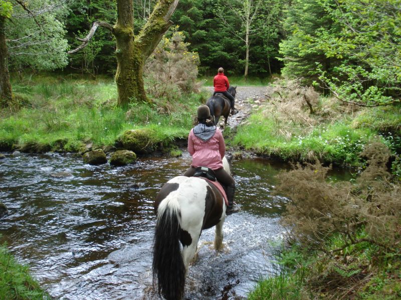 École d'équitation du comté de Galway