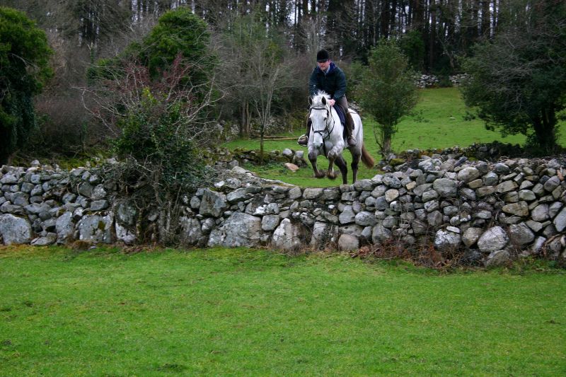 École d'équitation du comté de Galway