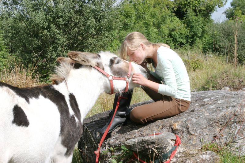 École d'équitation du comté de Galway