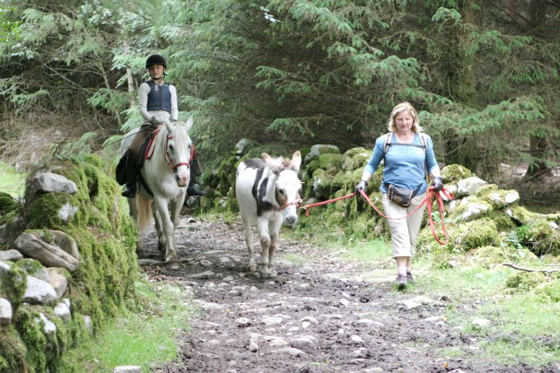 École d'équitation du comté de Galway