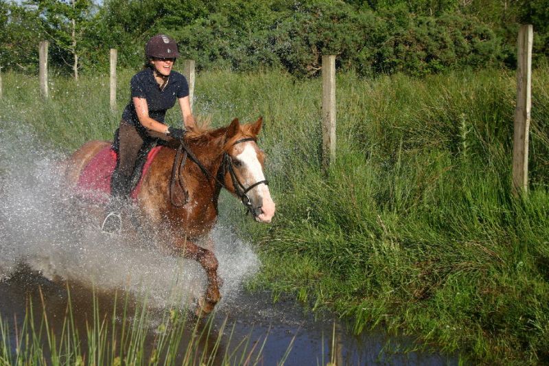 École d'équitation du comté de Galway