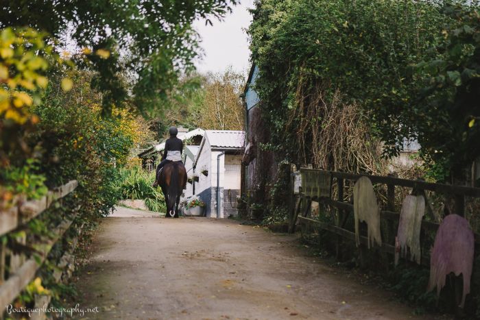 École d'équitation du comté de Galway