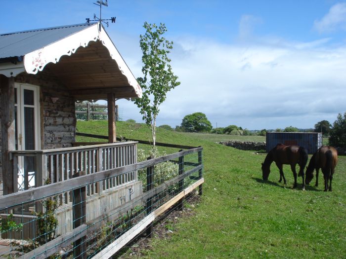 École d'équitation du comté de Galway