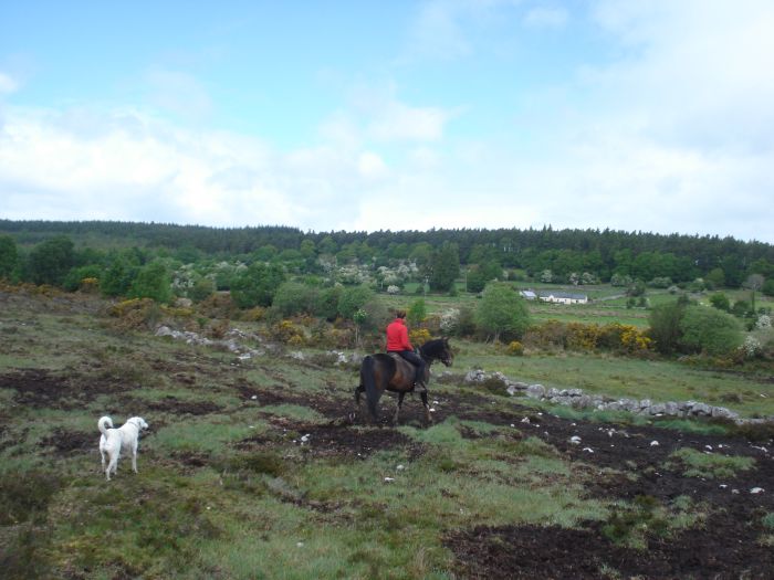 École d'équitation du comté de Galway