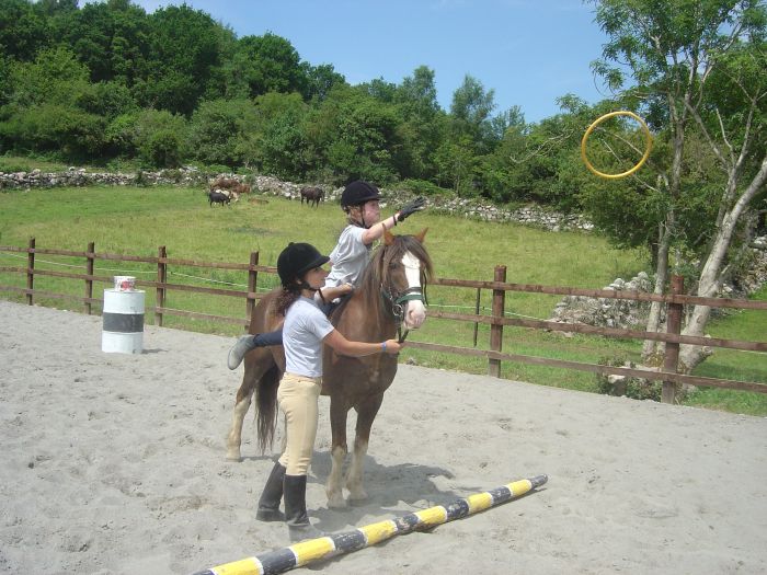 École d'équitation du comté de Galway