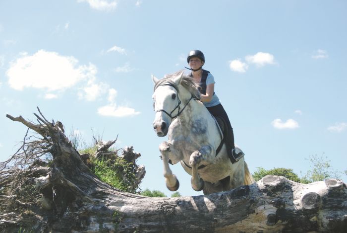 École d'équitation du comté de Galway