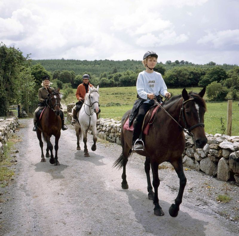 École d'équitation du comté de Galway