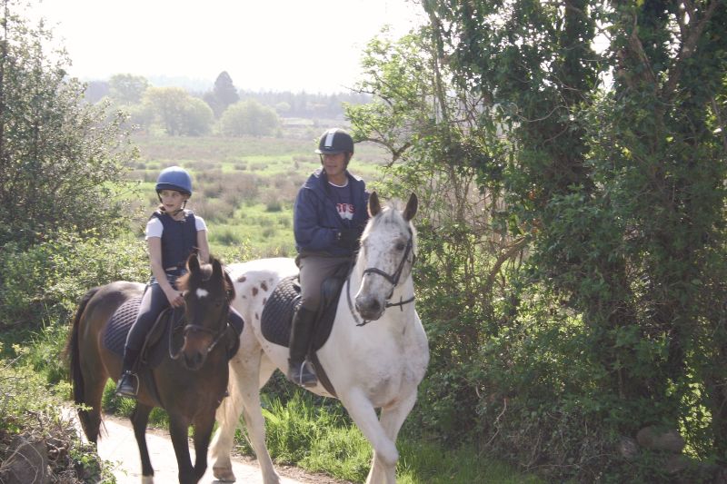 École d'équitation du comté de Galway