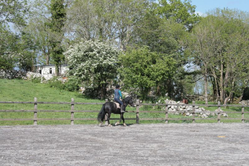 École d'équitation du comté de Galway