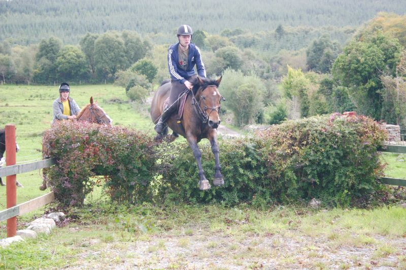 École d'équitation du comté de Galway