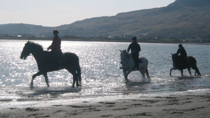 Séjour dans un hôtel 4* près de Westport