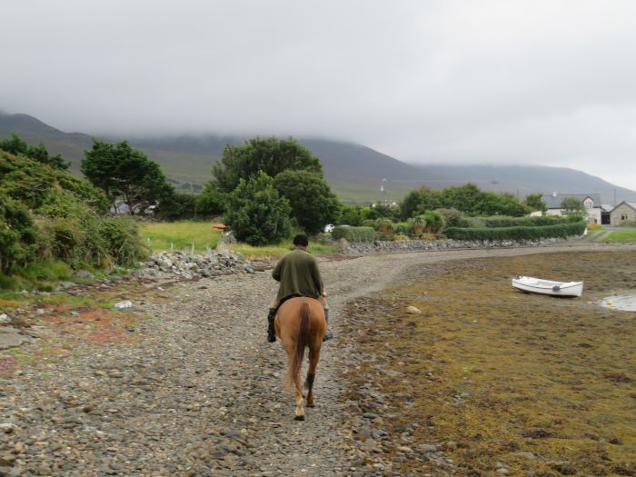 Séjour dans un hôtel 4* près de Westport