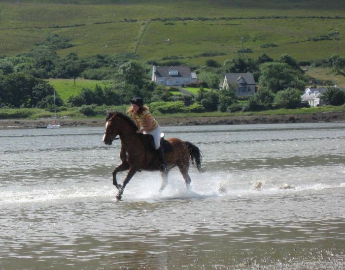 Séjour dans un hôtel 4* près de Westport