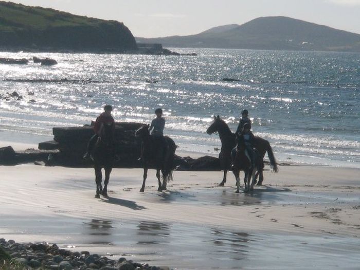 Séjour dans un hôtel 4* près de Westport