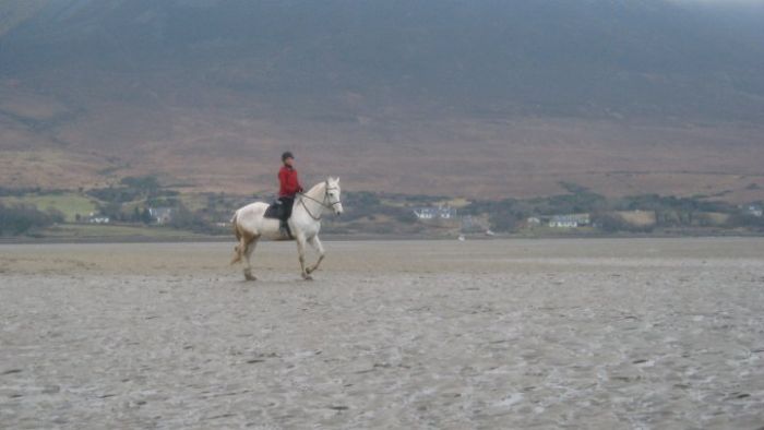 Séjour dans un hôtel 4* près de Westport