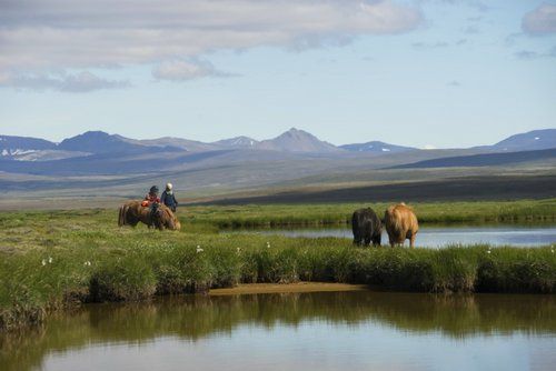 Les trésors de Borgarfjördur