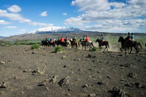 Les trésors de Borgarfjördur