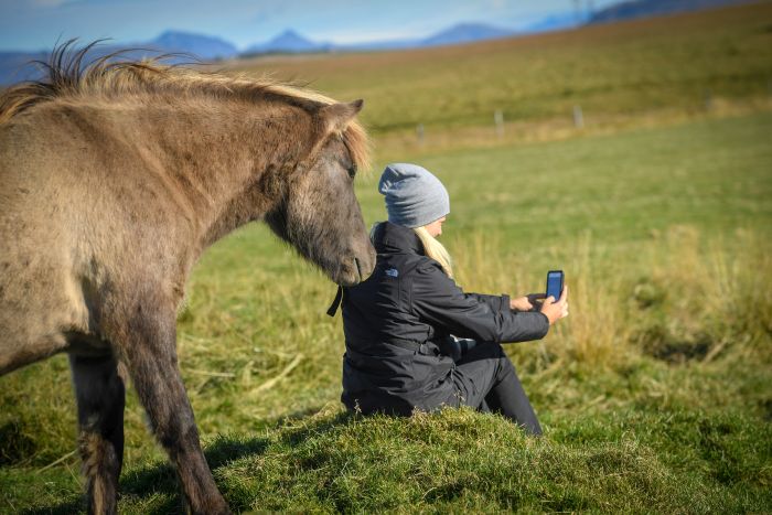 Les tr&eacute;sors de Borgarfj&ouml;rdur