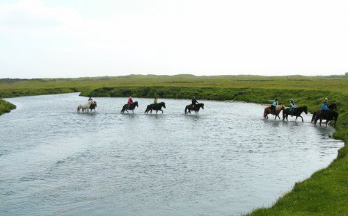 Les trésors de Borgarfjördur