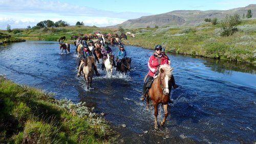 Les trésors de Borgarfjördur
