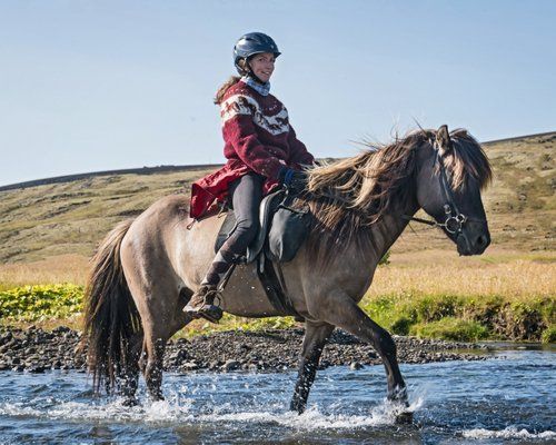 Les trésors de Borgarfjördur