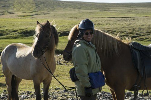 Les trésors de Borgarfjördur