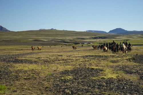 Les trésors de Borgarfjördur