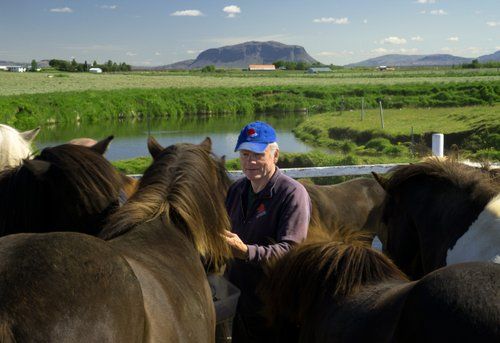 Les trésors de Borgarfjördur