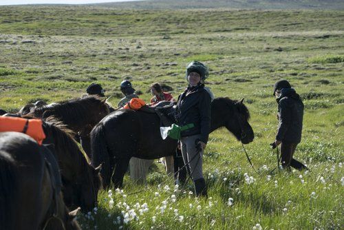 Les trésors de Borgarfjördur