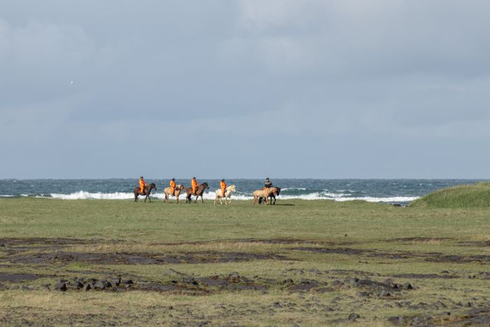 Reykjanes et le Blue Lagoon