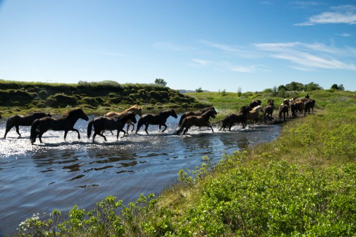 randonnée en terre sauvage