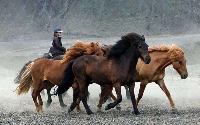 randonnée en terre sauvage