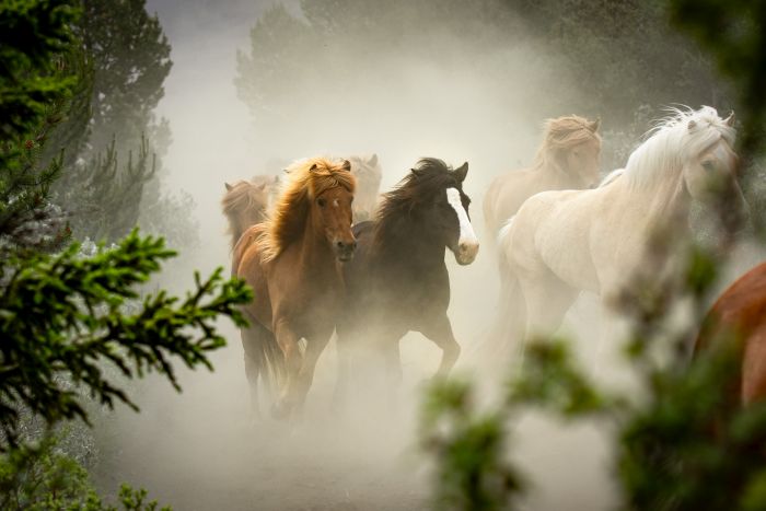 randonnée en terre sauvage