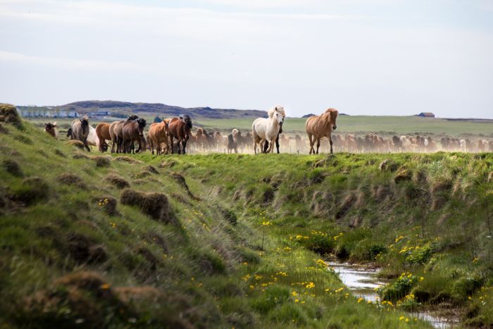 randonnée en terre sauvage