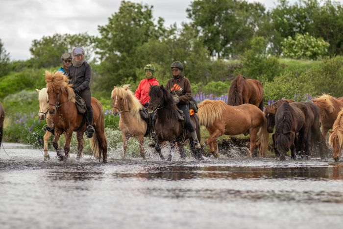 randonnée en terre sauvage