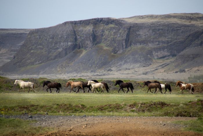 randonnée en terre sauvage