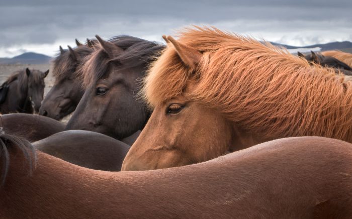 randonnée en terre sauvage