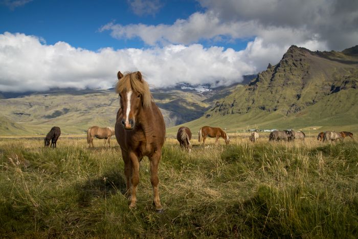 randonnée en terre sauvage
