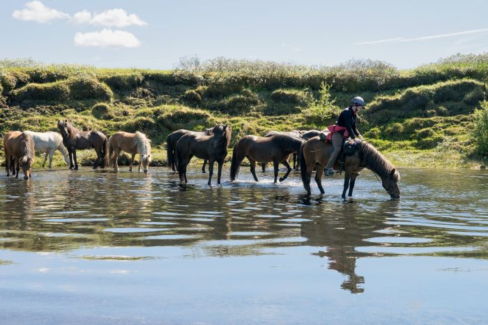 randonnée en terre sauvage