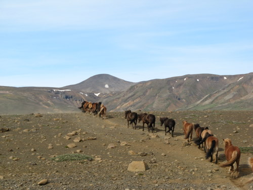 Randonnée de Kjölur