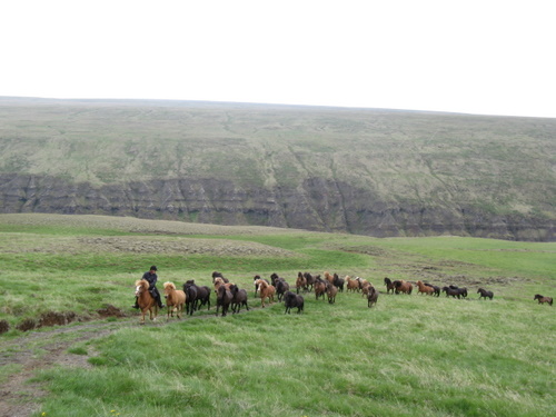 Randonnée de Kjölur
