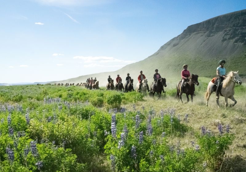 South Iceland Ride - la randonnée classique