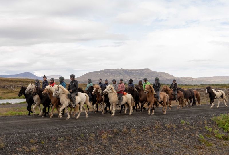 South Iceland Ride - la randonnée classique