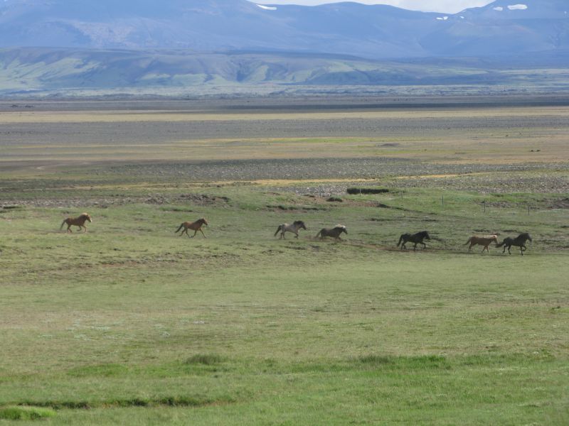 South Iceland Ride - la randonnée classique