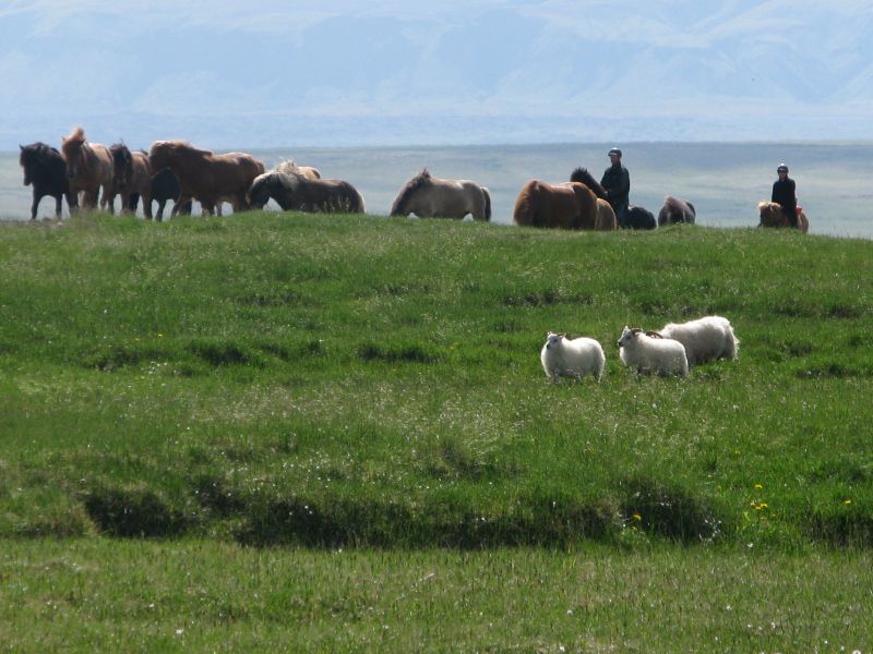 South Iceland Ride - la randonnée classique
