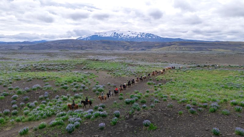 South Iceland Ride - la randonnée classique