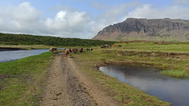 South Iceland Ride - la randonnée classique