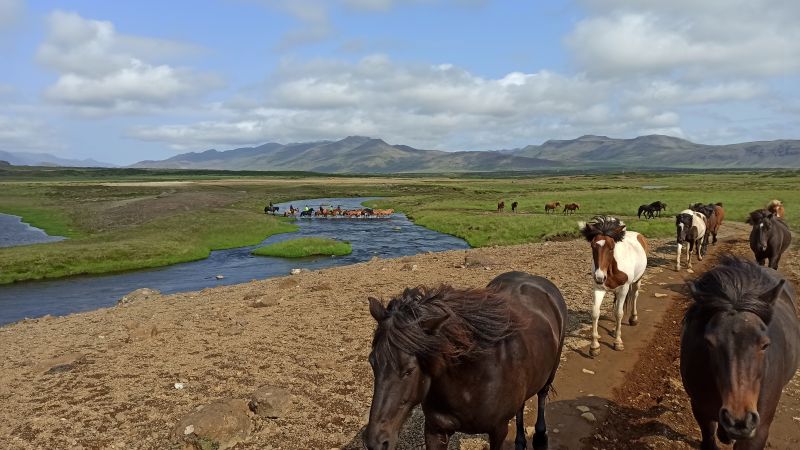 South Iceland Ride - la randonnée classique